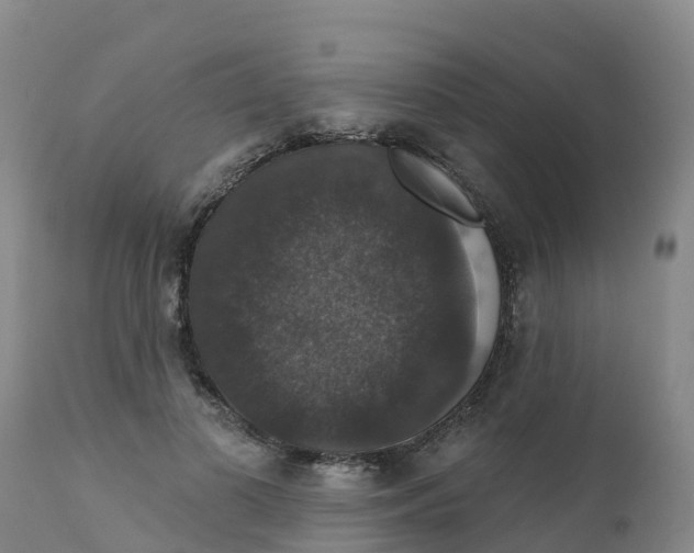 X0000111800693200908131436