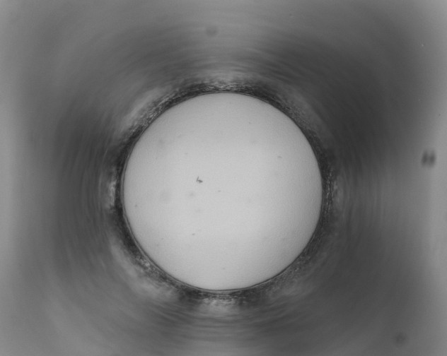 X0000111800694200908131436