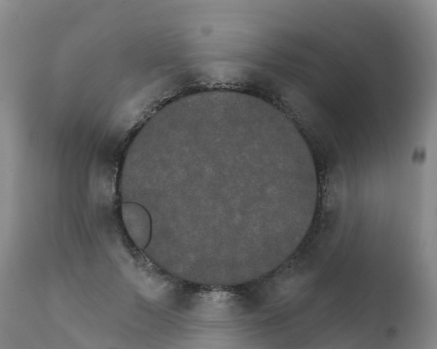 X0000111800695200908131436