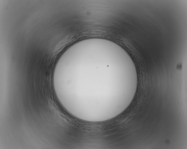 X0000111800696200908131436