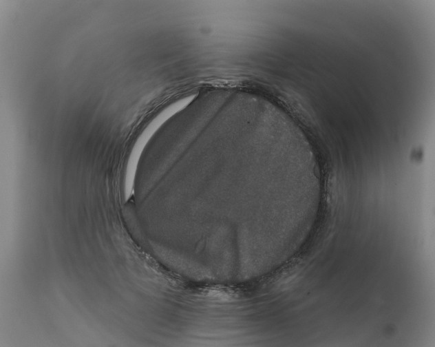 X0000111800697200908131436