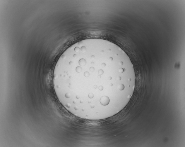 X0000111800698200908131436