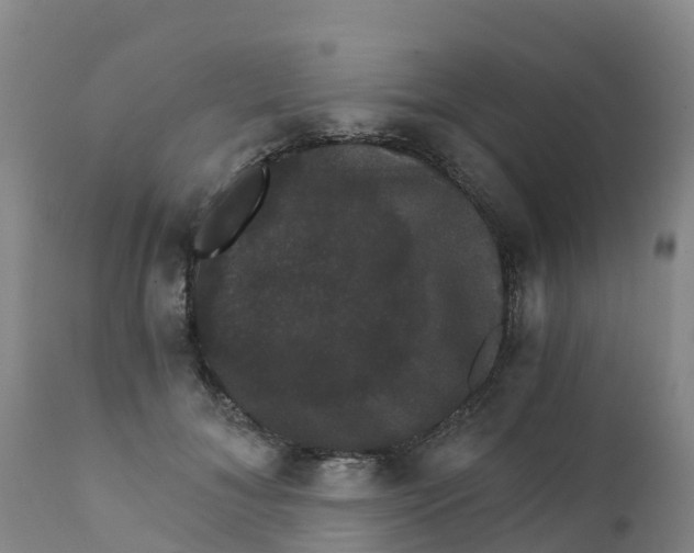 X0000111800700200908131436