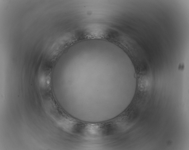 X0000111800701200908131436