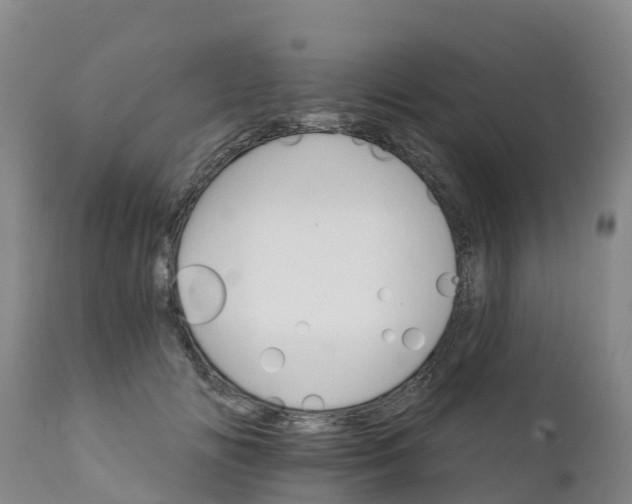 X0000111800702200908131436
