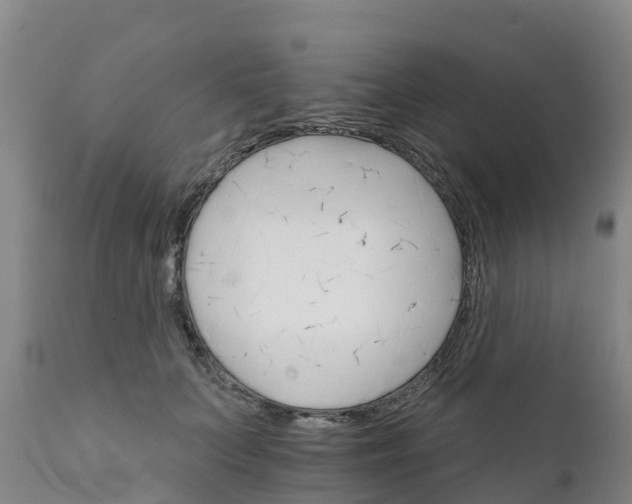 X0000111800703200908131436