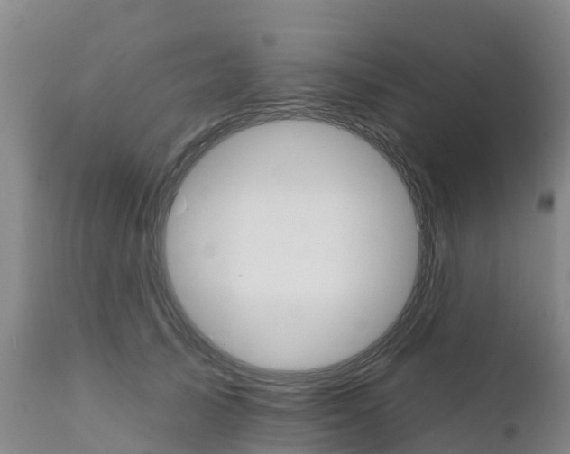 X0000111800705200908131436