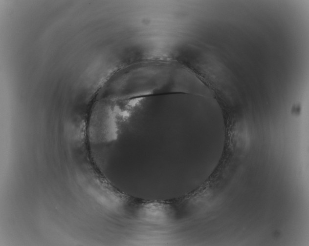 X0000111800708200908131436