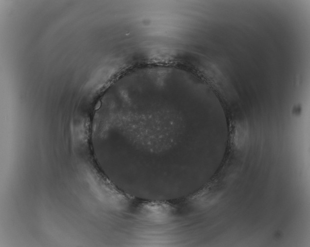 X0000111800712200908131436