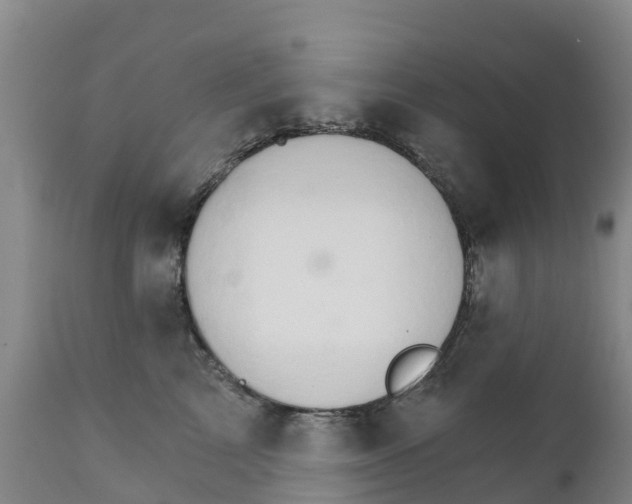 X0000111800713200908131436