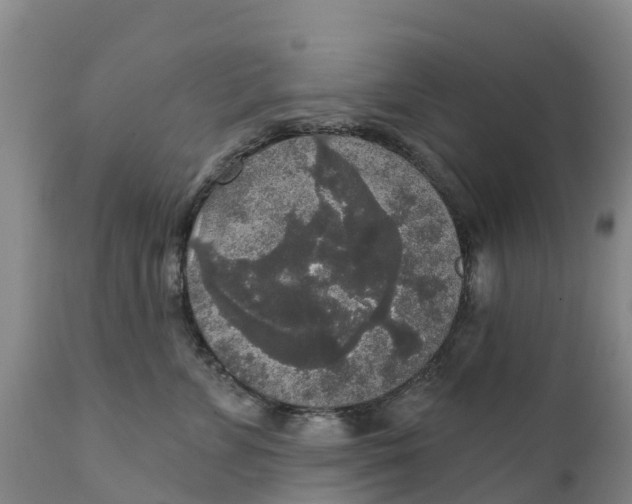 X0000111800715200908131436