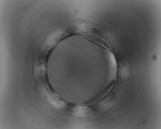 X0000111800716200908131436