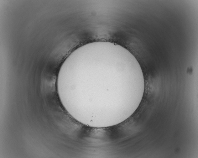 X0000111800717200908131436