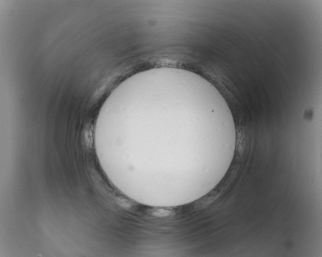 X0000111800718200908131436