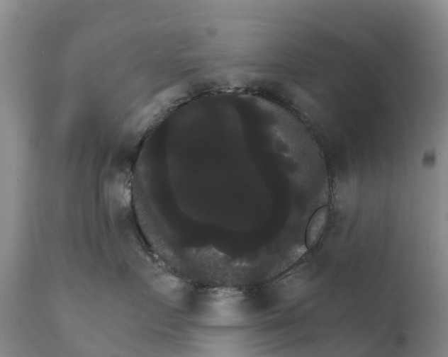 X0000111800719200908131436