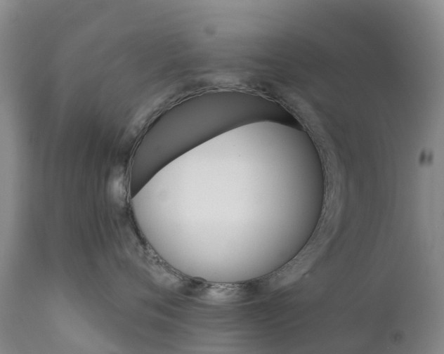 X0000111800720200908131436
