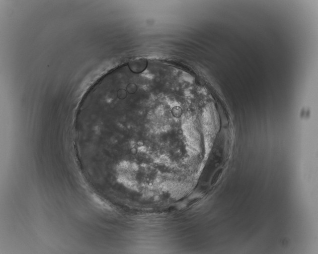 X0000111800721200908131435