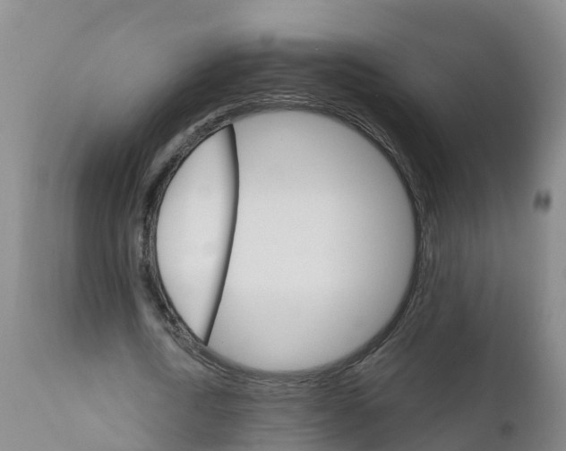 X0000111800722200908131435