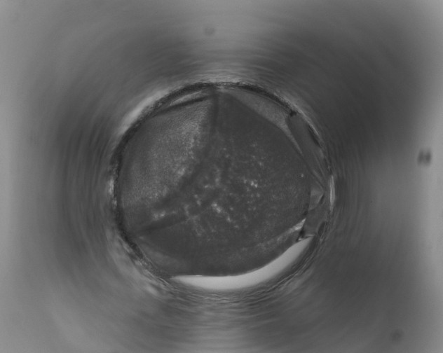 X0000111800723200908131435