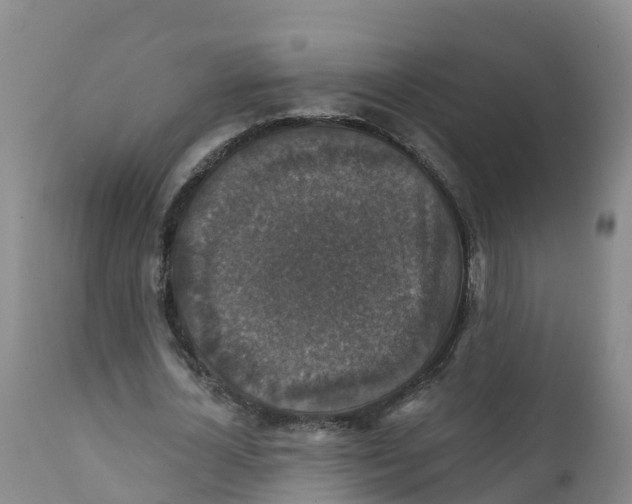 X0000111800724200908131435