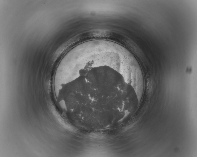X0000111800725200908131435
