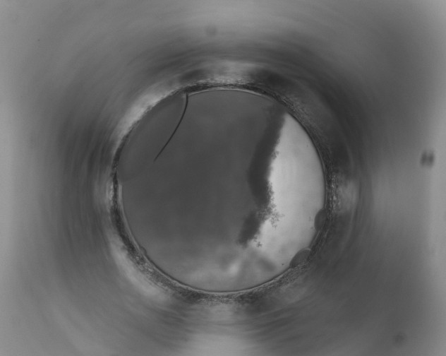 X0000111800726200908131435