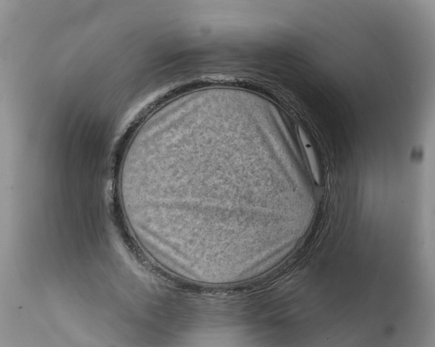 X0000111800728200908131435