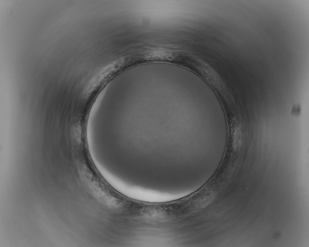 X0000111800729200908131435