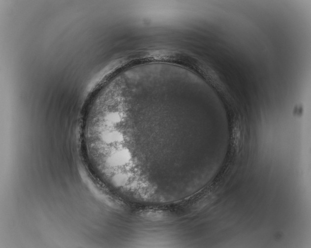 X0000111800730200908131435