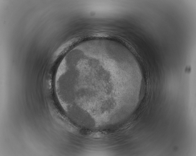 X0000111800731200908131435