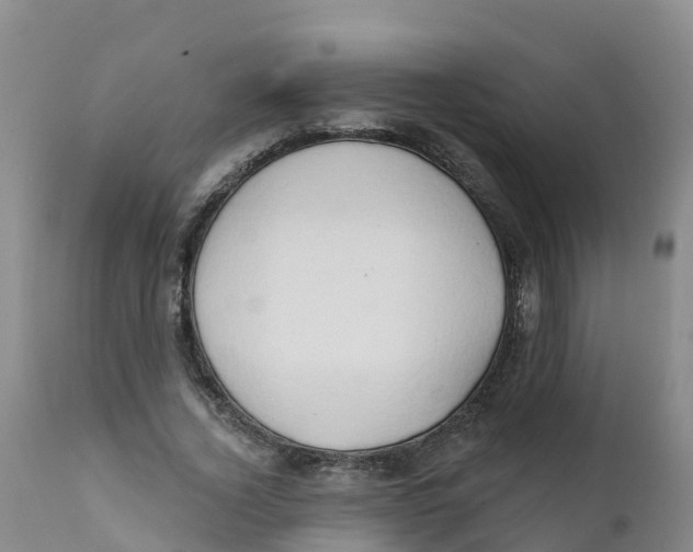 X0000111800732200908131435