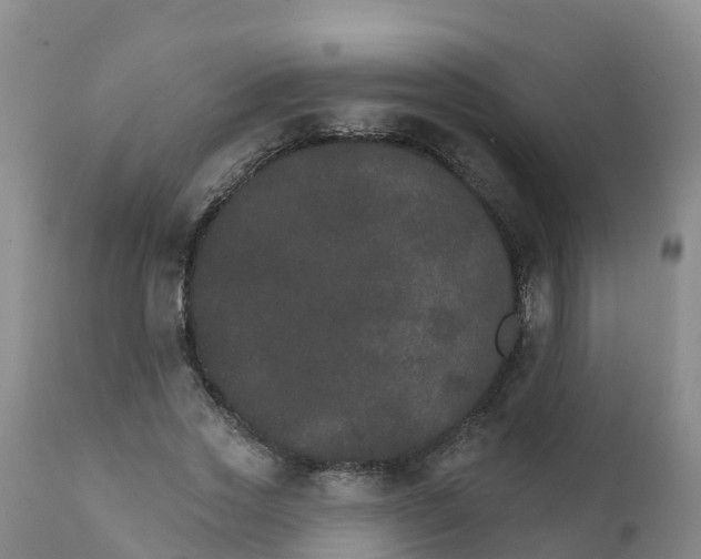 X0000111800733200908131435