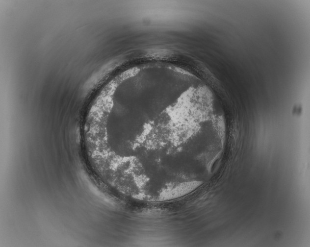 X0000111800734200908131435