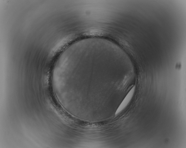 X0000111800735200908131435