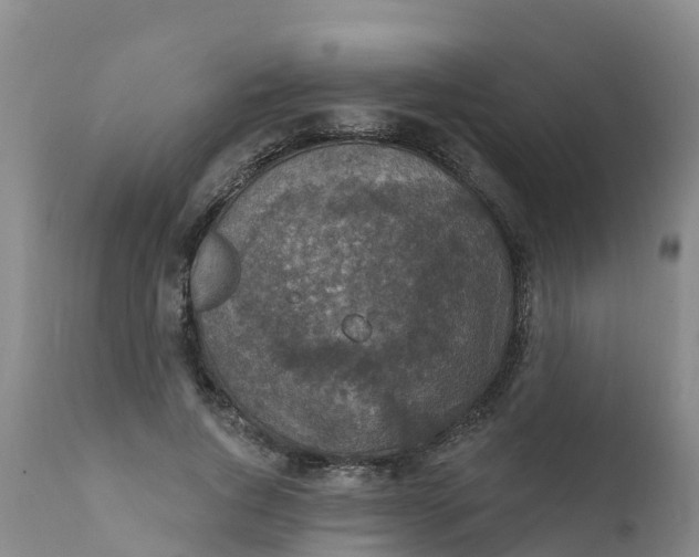 X0000111800736200908131435