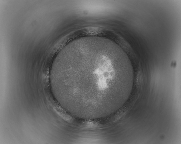 X0000111800737200908131435