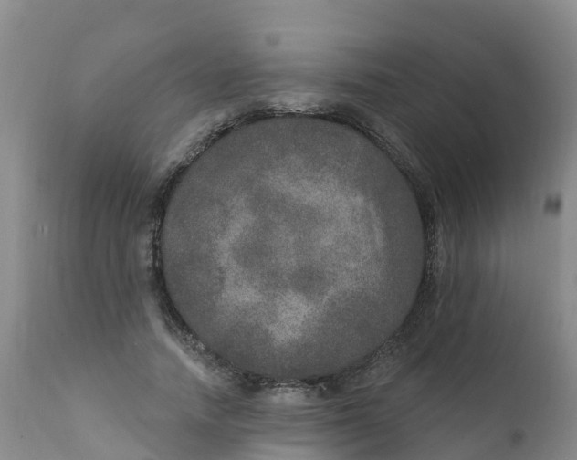X0000111800738200908131435