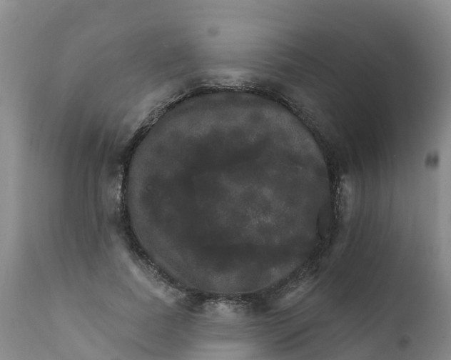 X0000111800739200908131435