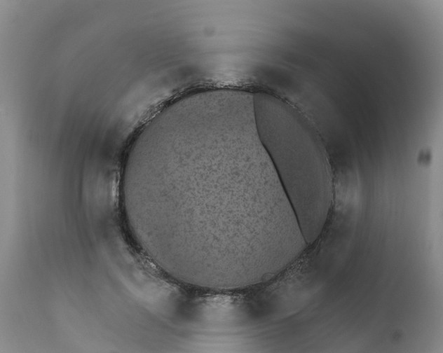 X0000111800740200908131435