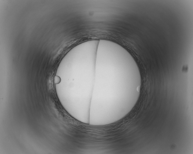 X0000111800743200908131435
