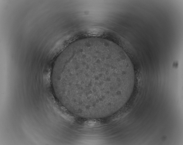 X0000111800745200908131435