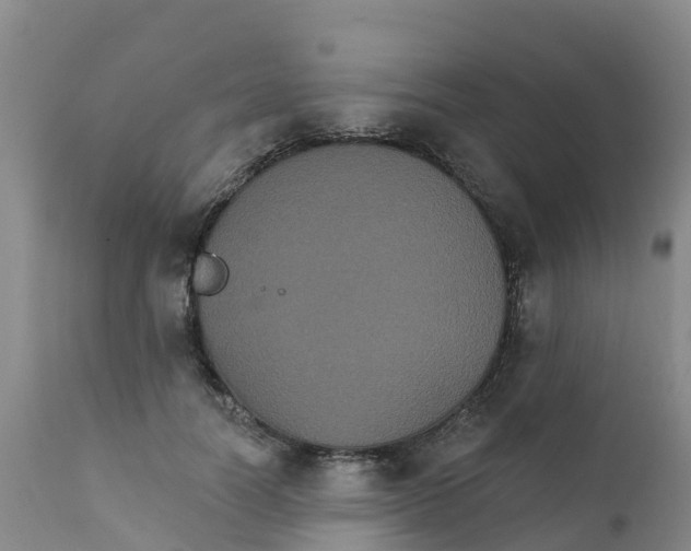 X0000111800746200908131435