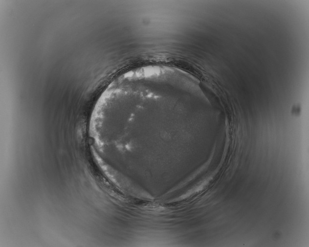 X0000111800747200908131435