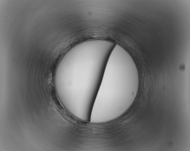 X0000111800748200908131435