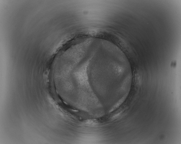 X0000111800750200908131435