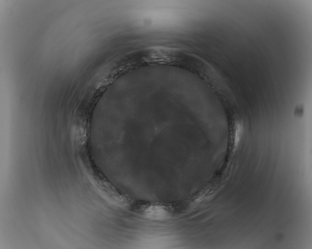 X0000111800751200908131435