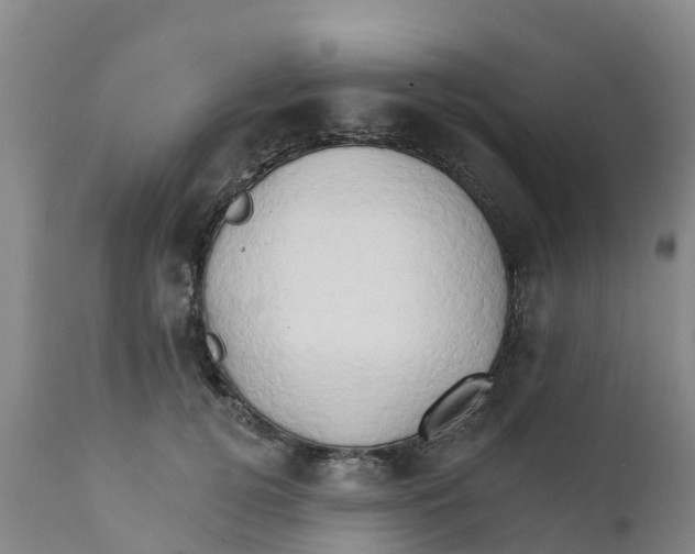X0000111800752200908131435