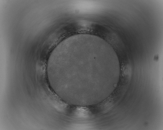 X0000111800753200908131435