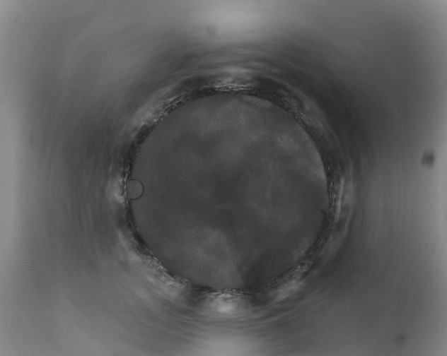 X0000111800755200908131435