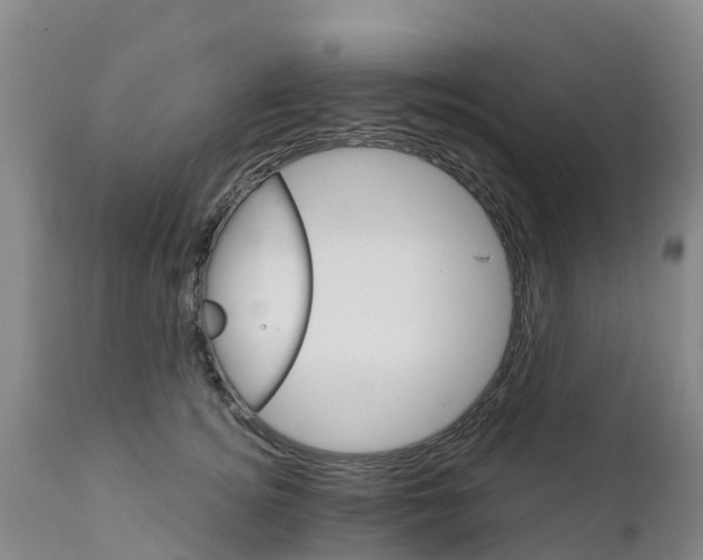 X0000111800756200908131435